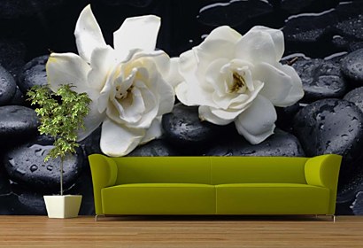 Fototapeta Black spa stones with white flowers 24257